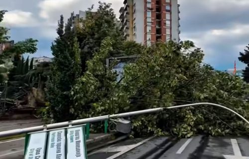 Oluja čupala drveće i krovove, opšti haos u gradu: Ogromna šteta i više povređenih u Skoplju (VIDEO)
