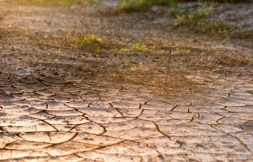 Srbija beleži rast, dok Evropu pogađaju suša i požari: Jedan problem ipak zabrinjava