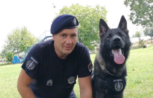 Da nije bilo njega potraga bi trajala danima: Kofer sa telom Ruskinje pronašao policijski pas (FOTO)