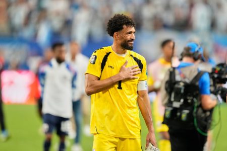 FIFA prodala fudbal: Ulaz na pres konferenciju 80 dolara, a plaća se i slikanje sa Vozinjom