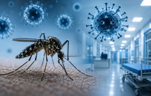 U Srbiji šest slučajeva virusa Zapadnog Nila, kod svih razvijen meningitis: Pik obolevanja tek sledi