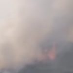 Grčka u plamenu: Izgorelo 100.000 hektara, proglašen megapožar, narod u panici beži pred stihijom