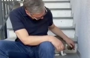 Vučić objavio simpatičan snimak iz Čipuljića: Mačka ga sačekala na kućnom pragu (VIDEO)