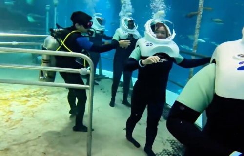 Pod vodom, među ajkulama i ražama: Jedinstvena šetnja morskim dnom, u najvećem zatvorenom morskom tematskom parku (VIDEO)