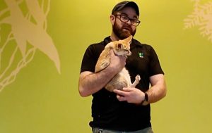 U Bronx ZOO vrtu, postoji prostorija u kojoj životinje slobodno šetaju među posetiocima (VIDEO)