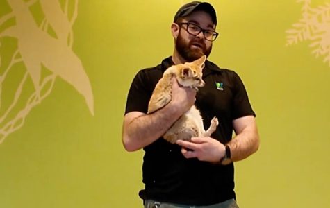 U Bronx ZOO vrtu, postoji prostorija u kojoj životinje slobodno šetaju među posetiocima (VIDEO)