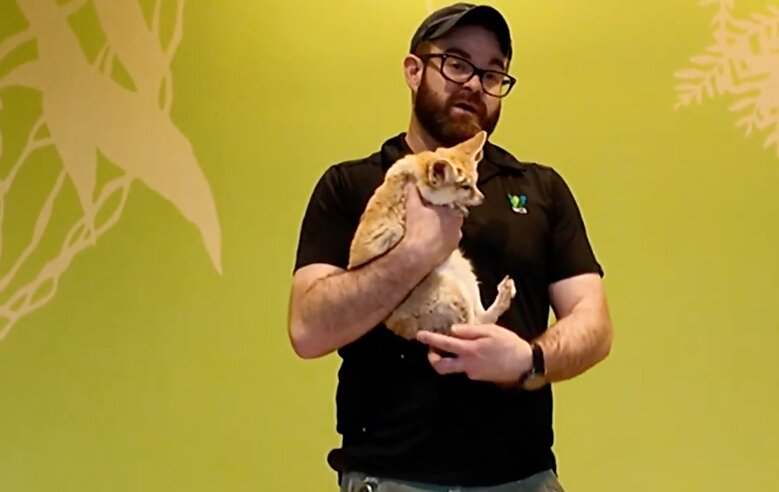 U Bronx ZOO vrtu, postoji prostorija u kojoj životinje slobodno šetaju među posetiocima (VIDEO)