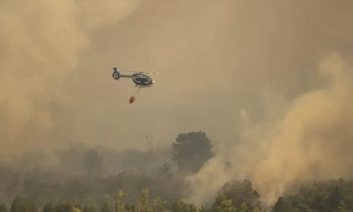 Požar na Suvoj Planini se proširio prema Nišu: “Iljušin” i više od 100 spasilaca bore se sa vatrom