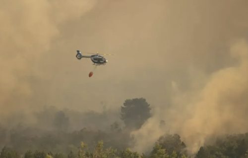 Požar na Suvoj Planini se proširio prema Nišu: "Iljušin" i više od 100 spasilaca bore se sa vatrom