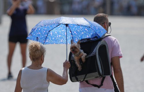 I danas paklenih 40 stepeni: Nastavlja se toplotni talas, tek za vikend manji predah