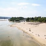 Koliko je sada opasno kupanje na Dunavu? Saveti stručnjaka koje treba pratiti ako ulazite u vodu