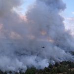 Devet požara besni u Srbiji: Dejstvuju helikopteri, priključila se i vojska, evo gde je najteža situacija