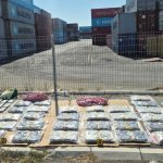 Velika akcija novosadske policije: Zaplenjeno oko 85 kilograma narkotika, uhapšene tri osobe (FOTO)