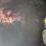 U Srbiji aktivno 23 požara na otvorenom: Vatra guta stotine hektara, na terenu helikopteri i vojska