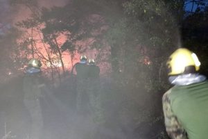 U Srbiji aktivno 23 požara na otvorenom: Vatra guta stotine hektara, na terenu helikopteri i vojska