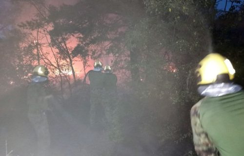 Moćni ruski avion "Iljušin" počeo gašenje požara u Deliblatskoj peščari: U jednom naletu izbacuje 42 tone vode