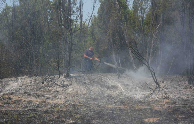 Teška borba sa požarima: Naselje Šumarak uspešno odbranjeno, 1.500 hektara gori u Deliblatskoj peščari