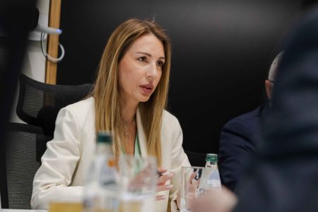Đedović Handanović: Gasna elektrana kod Niša trebalo bi da bude završena do 2030. godine