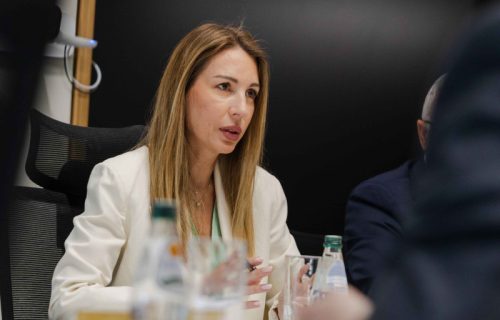 Đedović: "Ne planira se izgradnja vetroparkova u Deliblatskoj peščari"