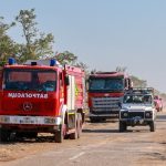 Vatra ne jenjava širom Srbije: Aktivno 35 požara, evakuisano stanovništvo iz 12 kuća