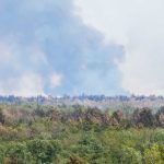 Ponovo gori Deliblatska peščara: Izbio požar posle nekoliko dana zatišja, žarišta bukte zbog vetra