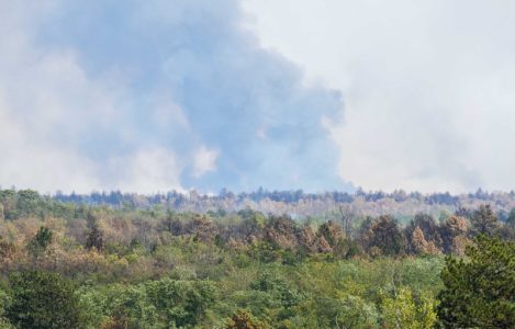 Ponovo gori Deliblatska peščara: Izbio požar posle nekoliko dana zatišja, žarišta bukte zbog vetra