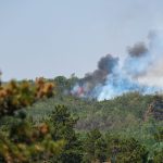 Vatra kod Stolova ne jenjava: U Srbiji aktivno 29 požara, helikopteri i ruski „Iljušin“ na terenu