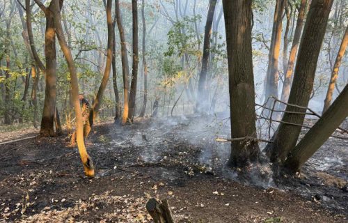 Požari i dalje gore širom Srbije: Bolje na Stolovima i u Deliblatskoj peščari, jedno žarište van kontrole