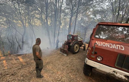 Požari i dalje besne u Srbiji: Dva i dalje nisu lokalizovana, jedno žarište van kontrole