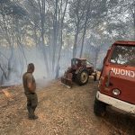 Požar zahvatio Nacionalni park na Fruškoj gori: Vatrogasci se 20 sati borili sa stihijom
