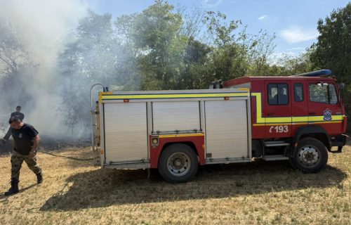 Buknuo požar na Suvoj planini: Vatra se proširila na teritoriju opštine Gadžin Han