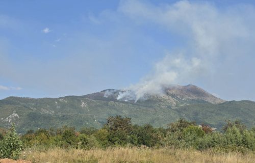 Požar kod Lučana se širi ka Pajovskoj planini: Nepristupačan teren otežava gašenje