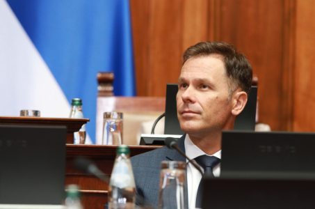 “Promenili smo ekonomsku sliku Beograda i Srbije”: Mali u Skupštini govorio o projektu “Beograd na vodi”