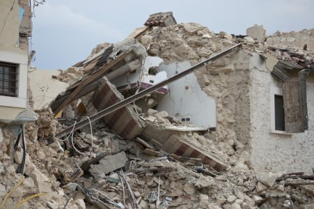 Oni su heroji koji otkrivaju mine, tuberkulozu i preživele posle zemljotresa: Iz Belgije su i nisu psi