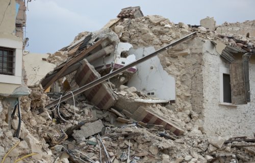 Oni su heroji koji otkrivaju mine, tuberkulozu i preživele posle zemljotresa: Iz Belgije su i nisu psi
