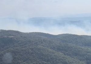 Dačić obišao vatrogasce koji gase požar kod Bujanovca, pomažu i meštani
