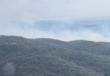 Dačić obišao vatrogasce koji gase požar kod Bujanovca, pomažu i meštani