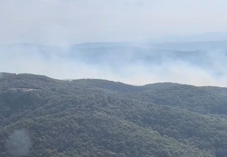 Dačić obišao vatrogasce koji gase požar kod Bujanovca, pomažu i meštani