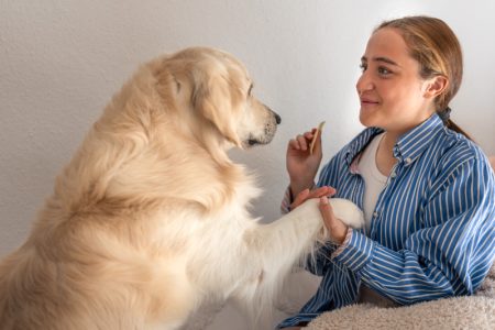 Pričate sa svojim ljubimcem kao da je osoba? Imamo važnu poruku za vas