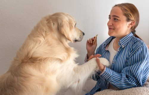 Pričate sa svojim ljubimcem kao da je osoba? Imamo važnu poruku za vas