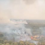 U Deliblatskoj peščari borba sa vatrom iz vazduha i sa kopna; 122 vatrogasca sa 28 vozila (VIDEO)