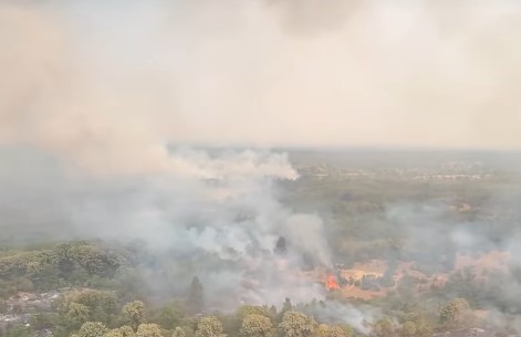 U Deliblatskoj peščari borba sa vatrom iz vazduha i sa kopna; 122 vatrogasca sa 28 vozila (VIDEO)