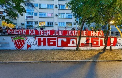 Vetar u leđa za Viktoriju: Zvezdini navijači digli Srbiju na noge pred meč sezone (FOTO)