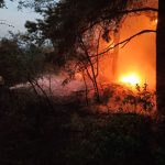Srbija na udaru suše i požara: U Deliblatskoj peščari gori 1.500 hektara, angažovana i vojska