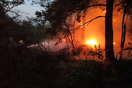 Srbija na udaru suše i požara: U Deliblatskoj peščari gori 1.500 hektara, angažovana i vojska