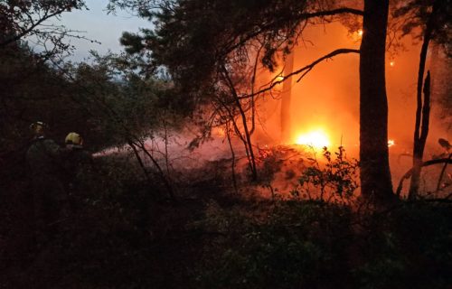 Srbija na udaru suše i požara: U Deliblatskoj peščari gori 1.500 hektara, angažovana i vojska