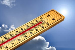 RHMZ upozorava: Temperatura i do 42 stepena, raste opasnost od širenja požara
