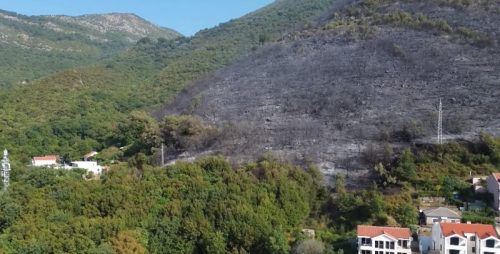 Požari besne u Srbiji i regionu: U Crnoj Gori branili kuće “živim zidom”, teško oko Nevesinje i na Braču