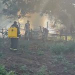 Najteže u Deliblatskoj peščari: Čitavu noć trajala borba sa vatrom, poseban problem podzemni požari