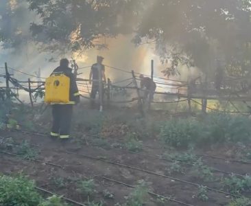 Najteže u Deliblatskoj peščari: Čitavu noć trajala borba sa vatrom, poseban problem podzemni požari